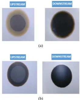 Fig. 7. Effect of sPES addition to PSF casting solution on  pure water flux.
