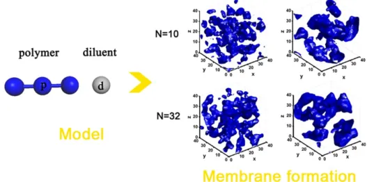 Fig. 2. Morphological changes with different polymer chain lengths by DPD simulation (Reprinted with permission from[14]