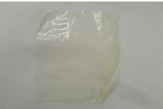 Fig. 1. Picture of the prepared CR-SPEEK composite cati- cati-on-exchange membrane.