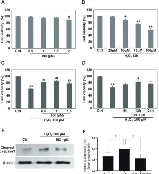 Fig. 1. Protective effects of BIX01294  in oxidative stress-damaged SH-SY5Y  cells. (A) Toxicity was measured by the  MTT assay in SH-SY5Y cells that were  treated with 0–2  M BIX01294 (t-test, 