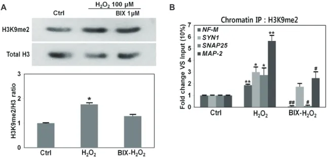 Fig. 3. G9a is aberrantly activated by oxidative stress and disrupts the expression of RE-1-containing neuron-specific genes