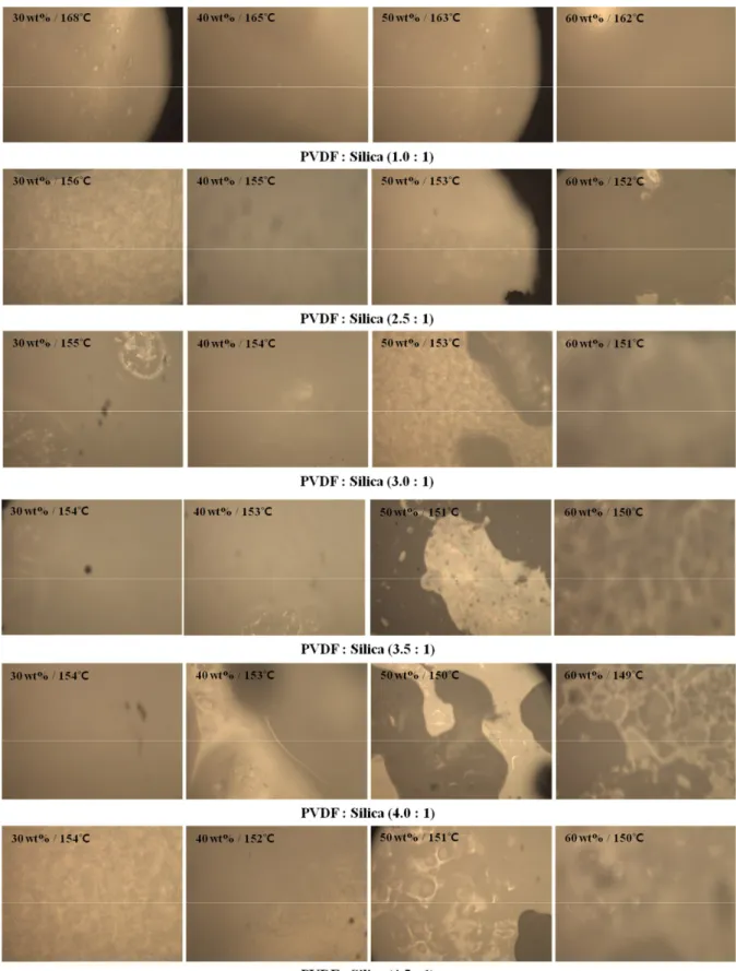 Fig. 5. Optical microscopes pictures of phase change temperatures for determining cloud point of different PVDF/silica/diluent  mixtures.