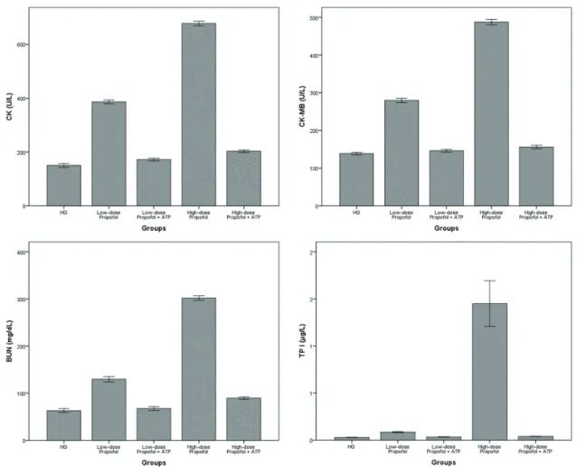 Fig. 1. CK, CK-MB, BUN, and TP I levels in the blood of the study groups. All groups were compared with HG (n = 6)