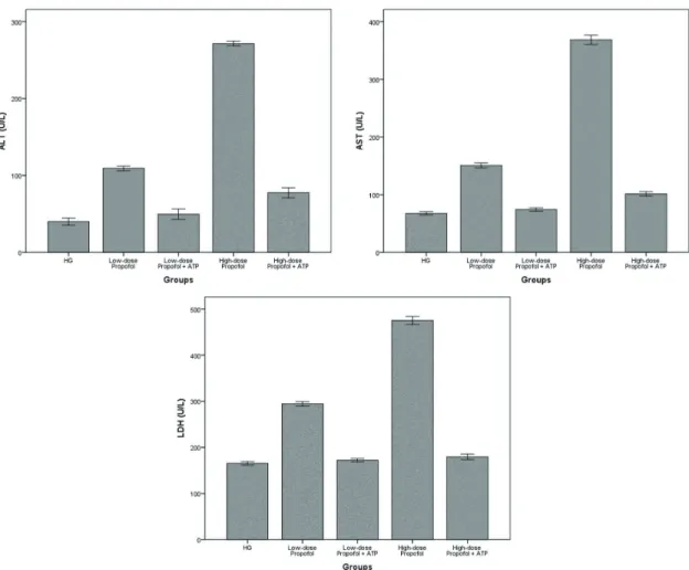 Fig. 2. ALT, AST, and LDH activity in the blood of the study groups. All groups were compared with HG (n = 6)