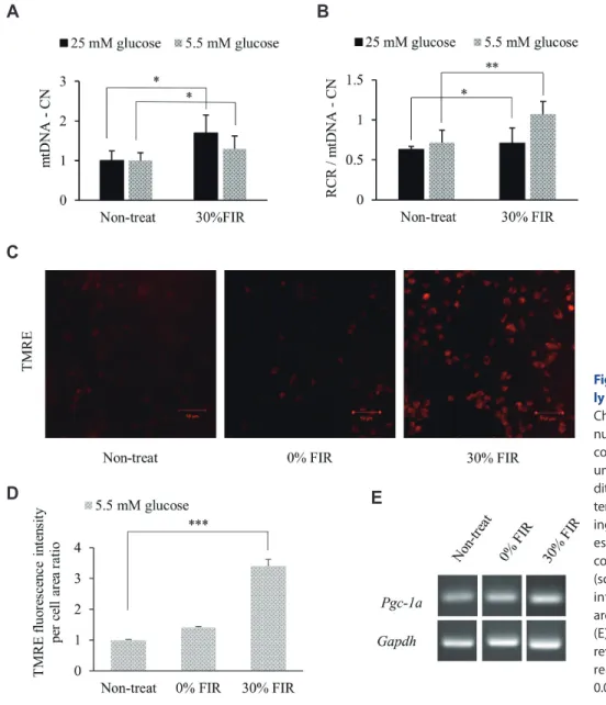 Fig. 3. Far-infrared rays (FIR) effective- effective-ly activate mitochondrial biogenesis