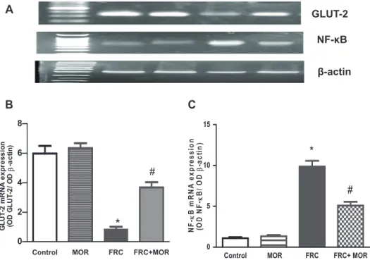 Fig. 2. Effect of morin on systolic blood pressure in MBS rats. Values  are presented as mean ± SEM (n = 8 rats)
