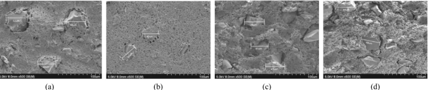 Fig. 4. SEM images of surface (top) and cross-section (bottom) of (a) PVDF-A2, (b) PVDF-A3, (c) PVDF-A2, (d) PVDF-A3.