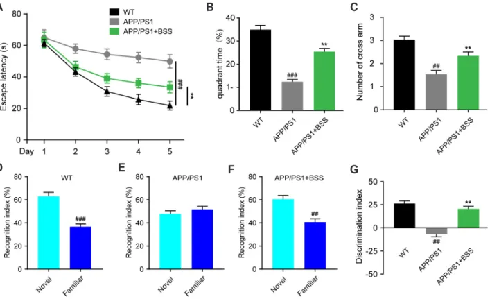 Fig. 1.  β-Sitosterol treatment attenuates spatial learning and recognition memory deficits in amyloid protein precursor/presenilin 1 (APP/
