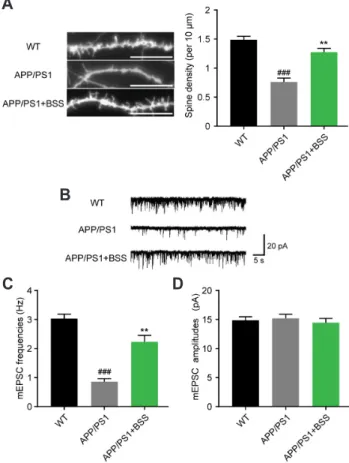 Fig. 4. β-Sitosterol treatment restored synaptic dysfunction in  amyloid protein precursor/presenilin 1 (APP/PS1) mice