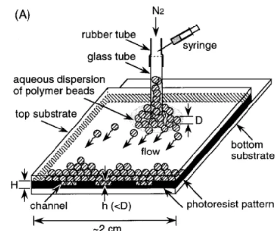 Fig. 6. Schematic procedure for the assembly of spherical  particles into crystalline arrays