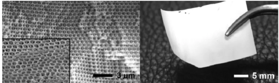 Fig. 8. Preparation of the 3DOM polymeric materials by PMMA colloidal crystals templating with crosslinking monomers