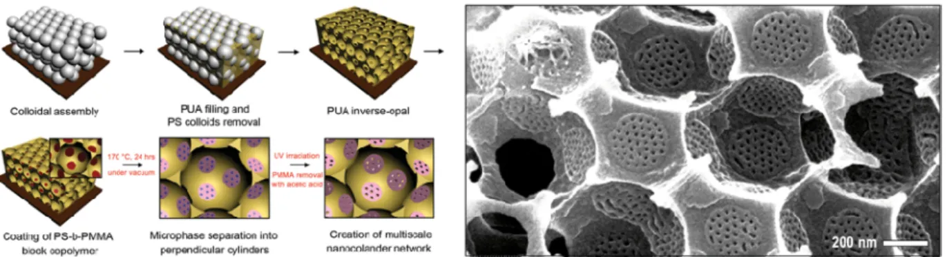 Fig. 11. Simplified unit geometry of the PN-IO structure  and SEM observation of the PN-IO structure