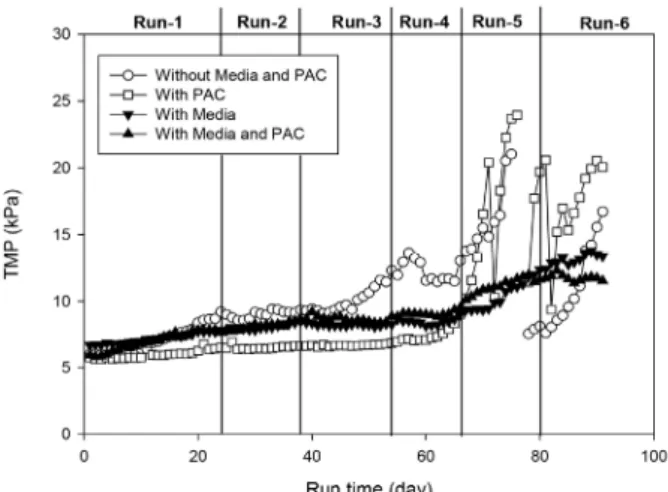 Fig. 7. Variations of T-P concentration and removal effi- effi-ciency during the operation of SMSBR.