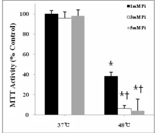Fig. 2. Effect of duration of heat stress on osteoblast viability.