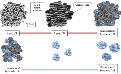 Fig. 7. Schematic presentation of MOR crystal growth process (M. Han et al.). 을 갖고 있음을 의미하며, 48시간과 72시간 수열처리된  시료에서 보이는 차이는 수열합성 환경에 따라 바늘형 의 결정상의 미세한 영향에 끼친 것으로 판단되며 뚜렷 한 영향은 없는 것으로 판단된다