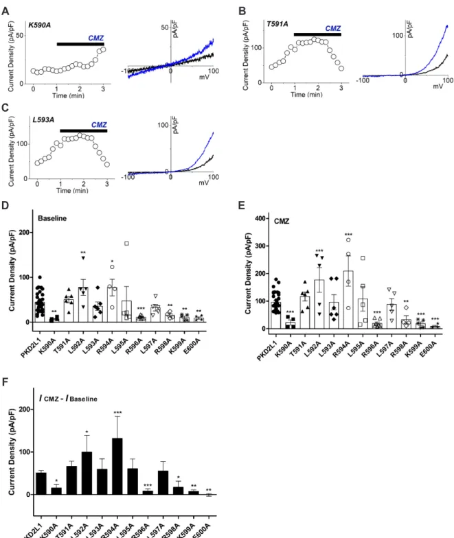 Fig. 3. The effects of calmidazolium (CMZ) on putative calmodulin-binding domain (CaMBD) (K590-E600) single mutants under 16 nM intra- intra-cellular free calcium concentration