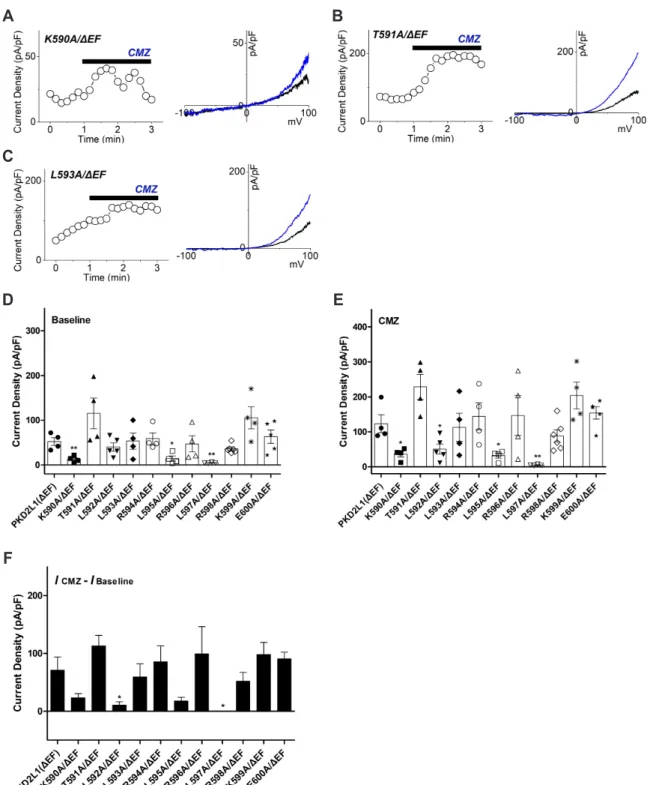 Fig. 5. The effects of calmidazolium (CMZ) on putative calmodulin-binding domain (CaMBD) (K590-E600)/ΔΔEF mutants under 16 nM intracel- intracel-lular free calcium concentration