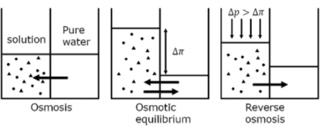 Fig. 1. The basic principles of reverse osmosis. 서 성공적으로 산업화가 되고 있는 상황이다[1-4]. 1953년 Reid가 처음으로 역삼투 공정을 제시하였고 [5],  이어서 1964년에 Loeb과 Sourirajan이 표피층이 셀 룰로오스  아세테이트로  된  비대칭막을  제조하였다[6]