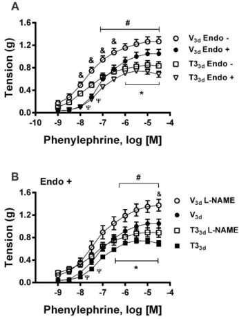 Fig. 4. Short-term in vivo 3,5,3’ triiodo-L-thyronine (T3) treatment  did not affect relaxant responses of agonists in aortic tissues