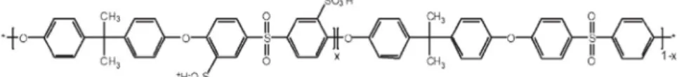 Fig. 1. Chemical structure of SPAES random copolymer (BisA-XX, XX = mol% of hydrophilic moieties)[14].