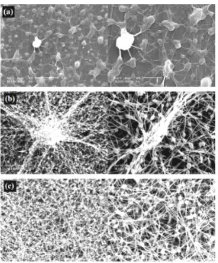 Fig. 6. SEM images of A2-PO2 (a) 2 µm/min, 20 kV (b)  5 µm/min, 18 kV (c) 8 µm/min, 24 kV.진행하였다