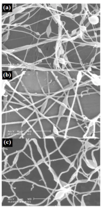 Fig. 10. Optical SEM images of Chitosan (a) 2 µm/min, 20 kV (b) 5 µm/min, 24 kV (c) 8 µm/min, 24 kV.