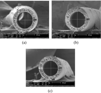 Fig. 5. SEM image of polyimide hollow fiber precursor.