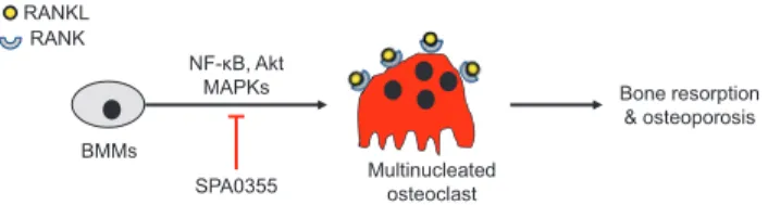 Fig. 7. Proposed summary.