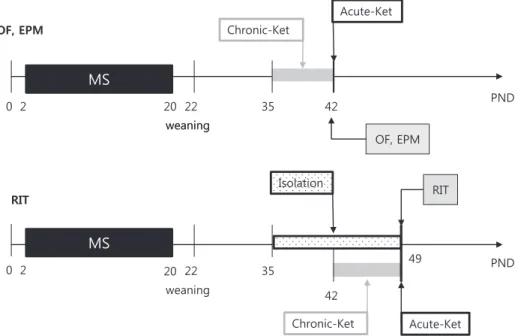 Fig. 1. Experimental timeline for behavioral tests. Litters were randomly assigned to maternal separation (MS) and handled (HD; control) groups