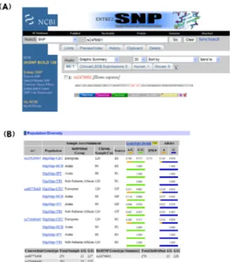 Fig. 7. NCBI Entrez SNP site를 통한 SNP 검색 결과 (A). 