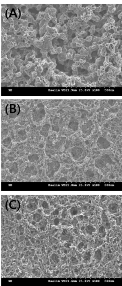 Fig. 2. SEM images of the PCL membrane to multiple  size pore. (A) without NaCl, (B) porous membrane by  NaCl