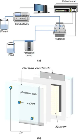Fig. 2. Schematic diagram of PVAm/PVA blend polymer  framework.