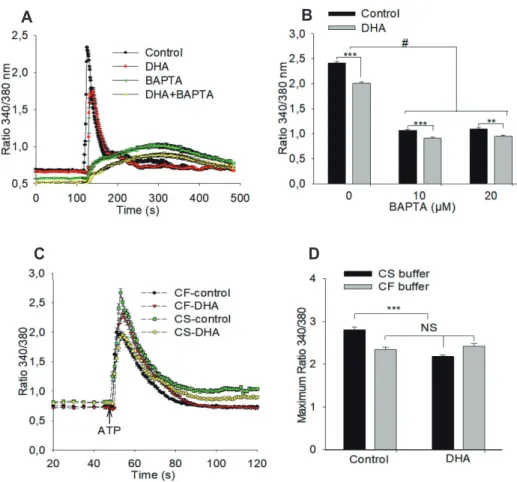 Fig. 3. Effects of BAPTA and withdra- withdra-wal of extracellular calcium on  ad-enosine triphosphate (ATP) induced  calcium transient