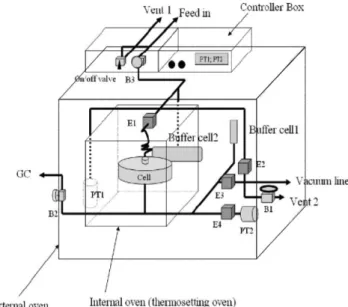 Fig. 3. Apparatus for gas permeation process.