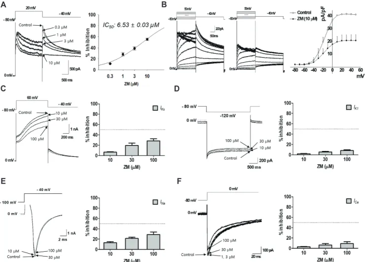 Fig. 5. Effects of ZM447439 (ZM) on cardiac ion channel currents. (A) Representative traces demonstrating the effect of ZM on I hERG  at doses of 0.3,  1, 3, and 10  M, respectively (left)