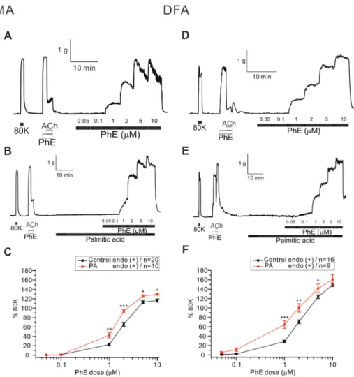 Fig. 1. Effect of saturated fatty acid  on phenylephrine (PhE)-induced  contractile response in mesenteric  arteries (MAs) and deep femoral  ar-teries (DFAs) of rat