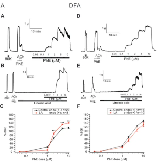 Fig. 2. Effect of polyunsaturated fatty  acid on phenylephrine (PhE)-induced  contractile response in mesenteric  arteries (MAs) and deep femoral  ar-teries (DFAs) of rat