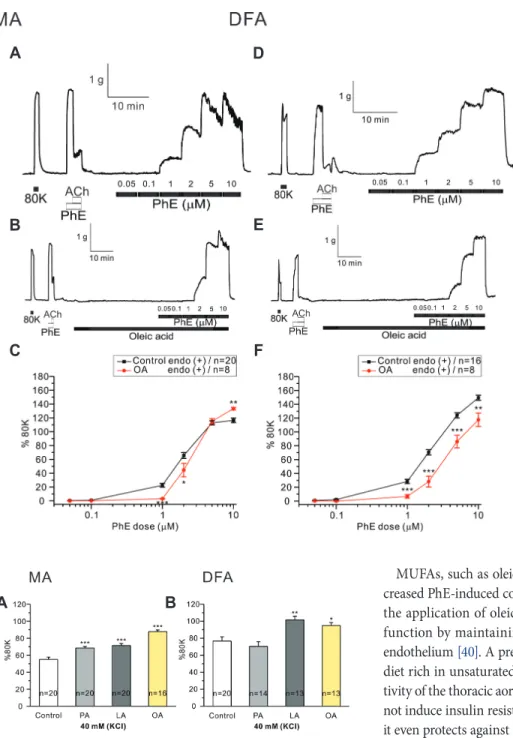 Fig. 3. Effect of monounsaturated  fatty acid on phenylephrine  (PhE)-induced contractile response in  mes-enteric arteries (MAs) and deep  femo-ral arteries (DFAs) of rat