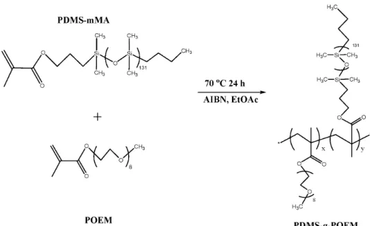 Fig. 1. Synthesis of PDMS-g-POEM amphiphilic graft copolymer via free radical polymerization.