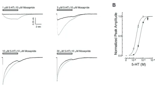 Fig. 2. Competitive inhibition of mosapride on the 5-hydroxytryptamine type 3 (5-HT 3 ) receptor currents
