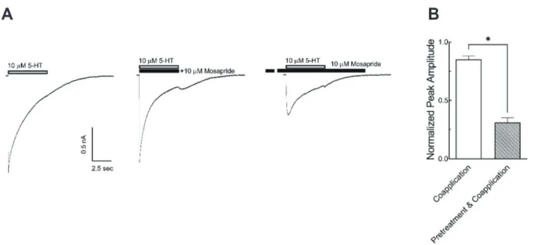Fig. 4. Effects of mosapride on the open state of 5-hydroxytrypta- 5-hydroxytrypta-mine type 3 (5-HT 3 ) receptor