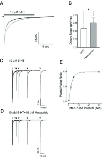 Fig. 5. Effect of mosapride on the desensitization of 5-hydroxy- 5-hydroxy-tryptamine type 3 (5-HT 3 ) receptor and the time course of  desensi-tization recovery