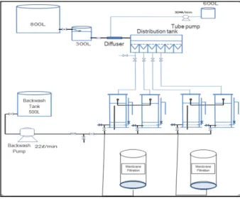 Fig. 2. Media filtration process.
