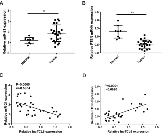 Fig. 6. Expression and correlation of  miR-21 and PTEN in tissue specimens. 