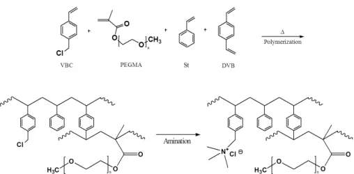 Fig. 2. Polymerization and quaternary ammonium salt formation of the anion exchange membranes