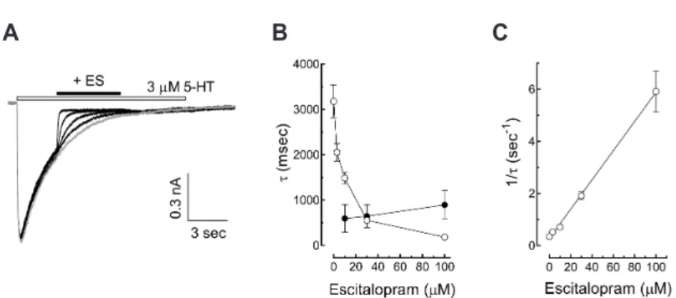 Fig. 5. Association and dissociation kinetics of escitalopram on open 5-hydroxytryptamine (5-HT) 3  receptor