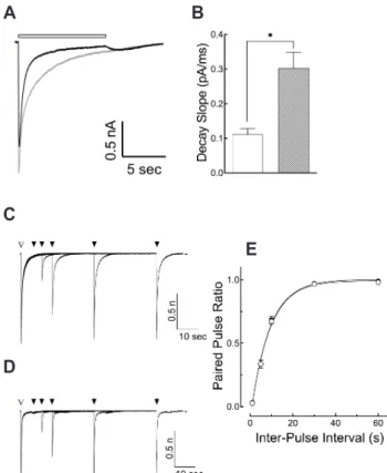 Fig. 6. Effect of escitalopram on 5-hydroxytryptamine (5-HT) 3