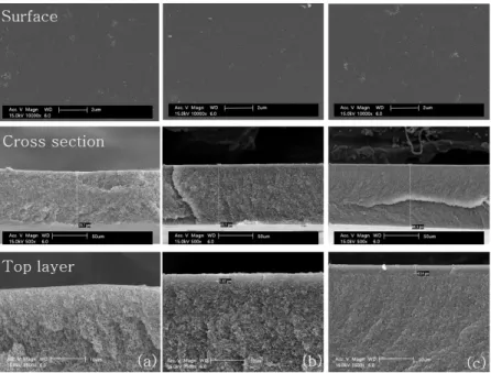 Fig. 9. SEM image of PI-D-PEG flat sheet membrane with volatile co-solvent concentration