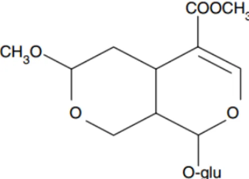 Fig. 1. structure of morroniside.