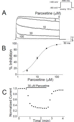 Fig. 2. Paroxetine inhibits Kv3.1 channels in a concentration- concentration-depen dent  manner